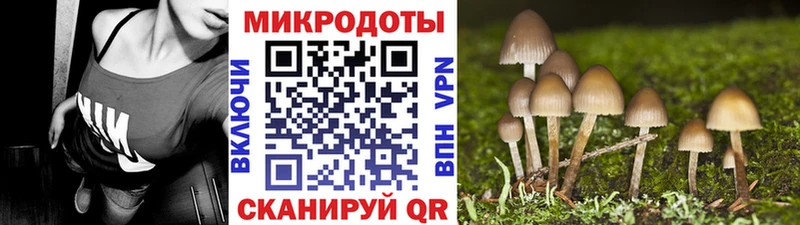 блэк спрут маркетплейс Узловая Галлюциногенные грибы Cubensis